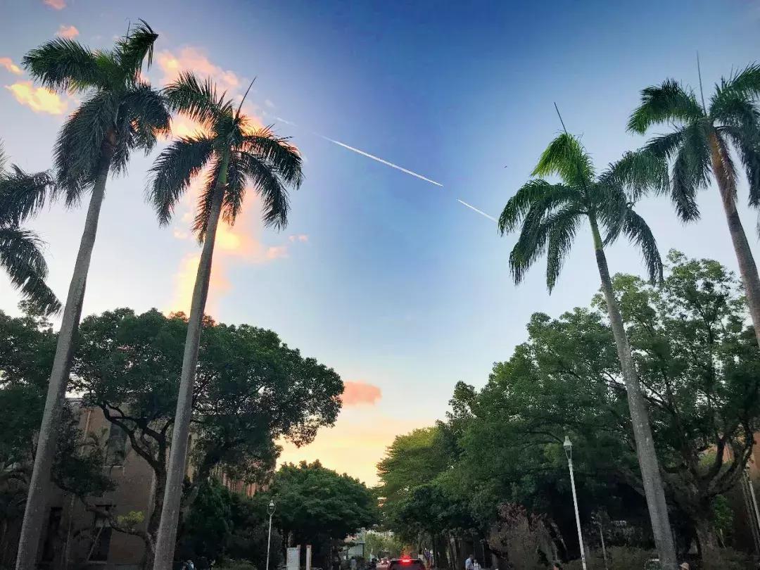 台北掏空了我的钱袋子