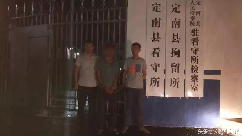 盗窃林木连环案,4人结伙作案5次盗窃木材16吨