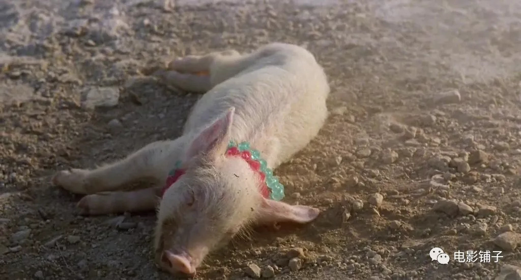 知音体伦理故事,被这片拍了出来