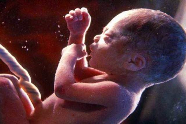 孕期肚子咕噜咕噜响是怎么回事,孕期肚子里咕噜咕噜是胎动么