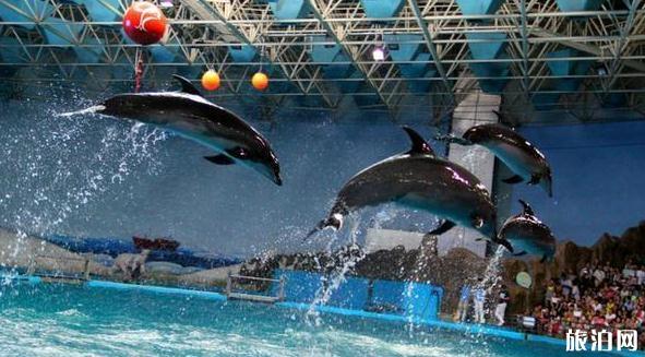 国内好玩海洋馆排行榜前十,国内好玩海洋馆推荐排名