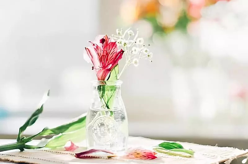 荐读深度好文,荐读浓缩出来的人生