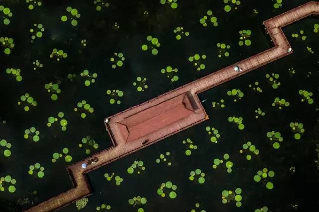 吴县撤市设区文件、80年代结婚证……相城那些陈年往事首度“曝光”