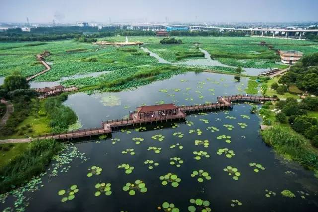 吴县撤市设区文件、80年代结婚证……相城那些陈年往事首度“曝光”