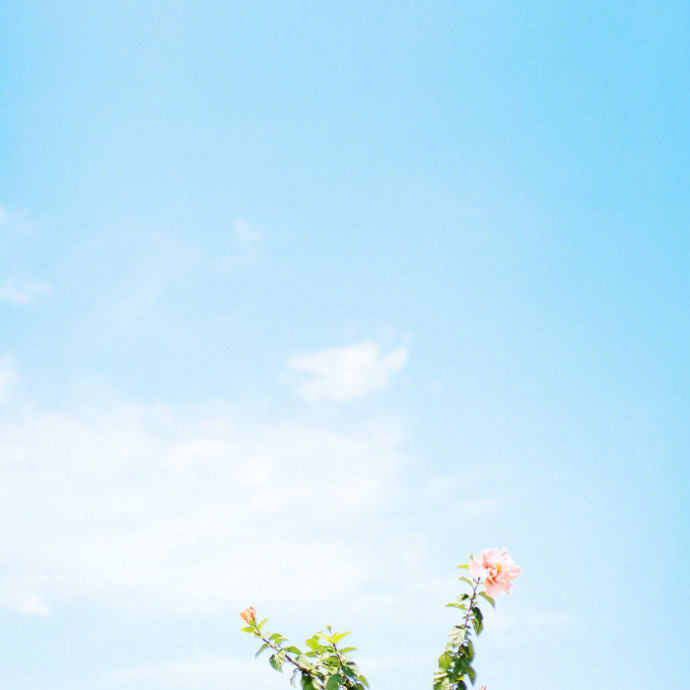 心灵鸡汤正能量经典句子,读心灵鸡汤后的受用的感悟