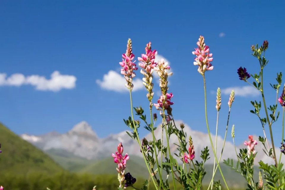 当一无所有的时候深度好文,你一无所有的时候深度好文
