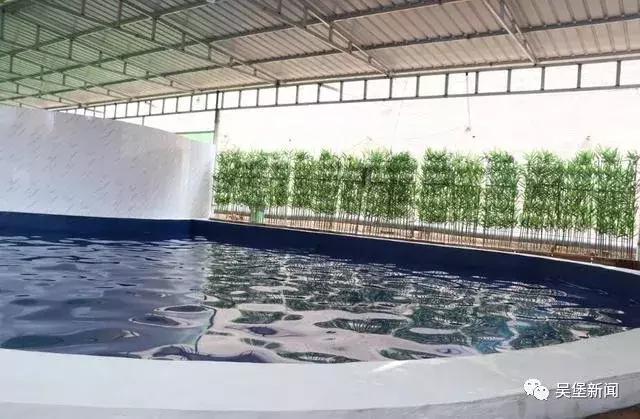 吴堡黄河漂流国际大赛,吴堡黄河大峡谷攻略