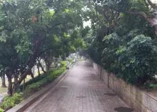 鼓浪屿游玩全攻略，以后别再说去鼓浪屿不知道怎么玩（建议收藏）