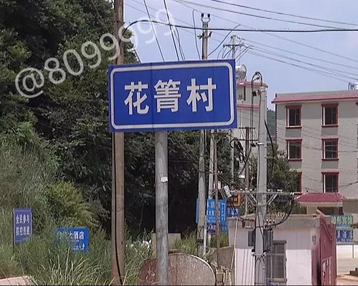 “去哪儿”有猫腻？8099999调查真相