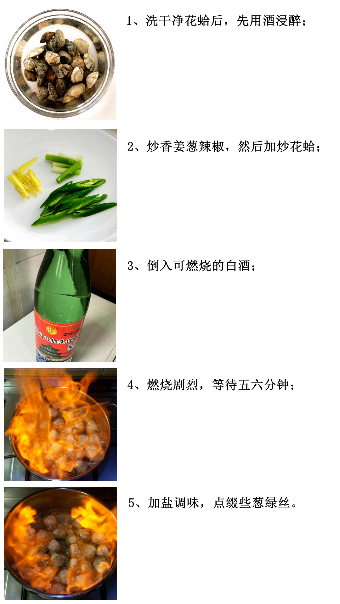 蛏子扇贝各种贝类如何区分,海鲜蛏的品种大全