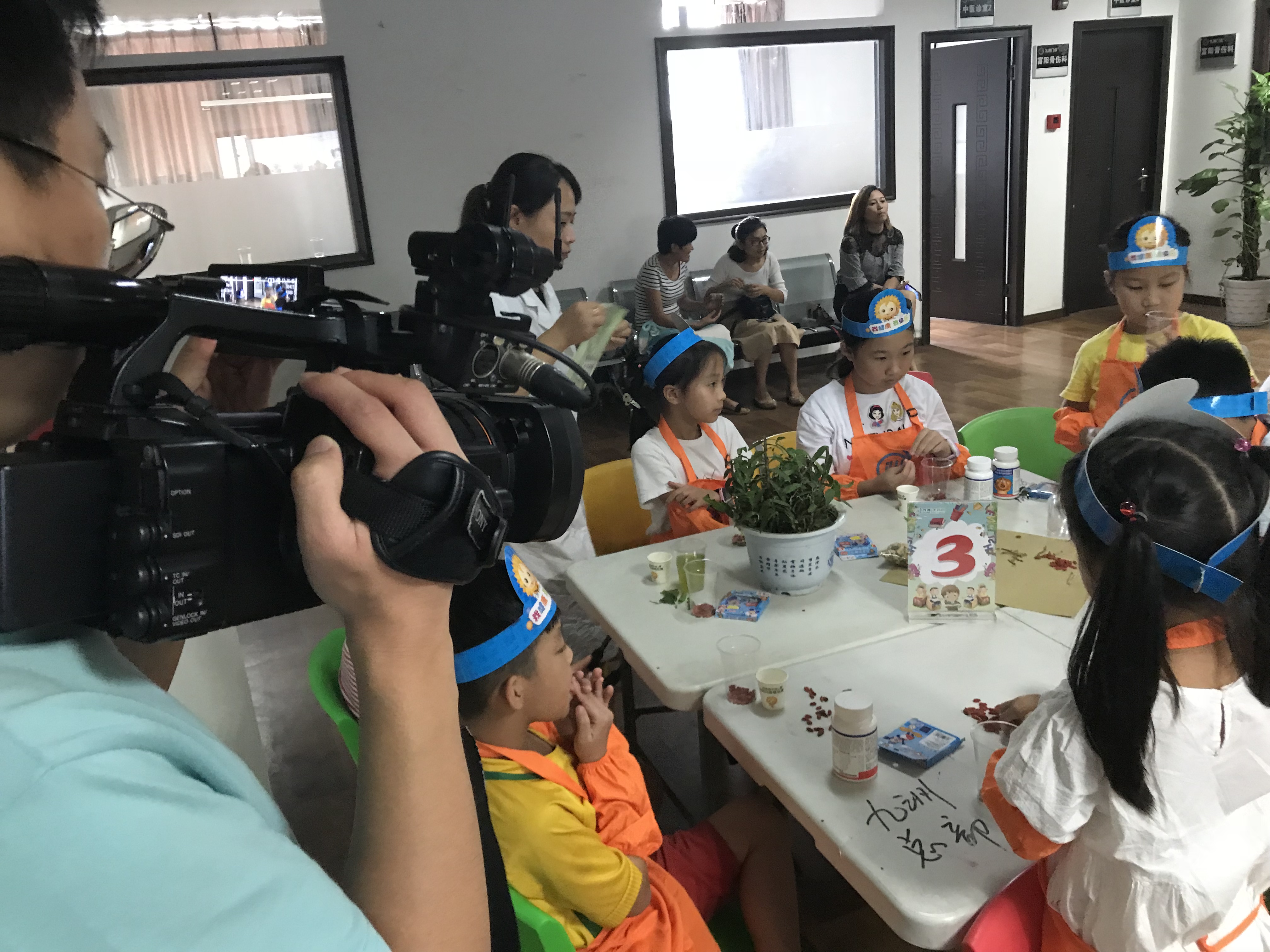 中华小药师夏令营第六课：认识神奇的仙草——石斛