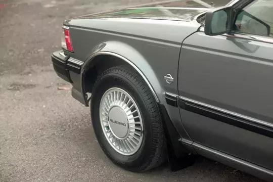 曾经的蓝鸟,当年蓝鸟