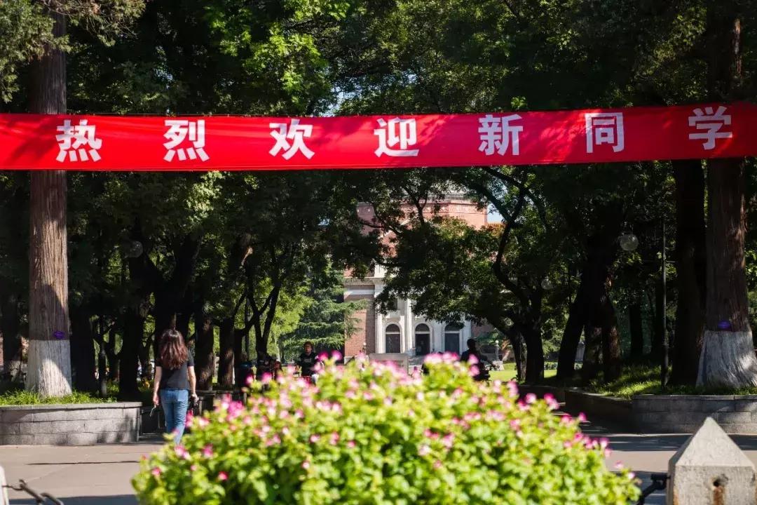 清华大学2019年新生学霸,清华大学开学后多少学霸