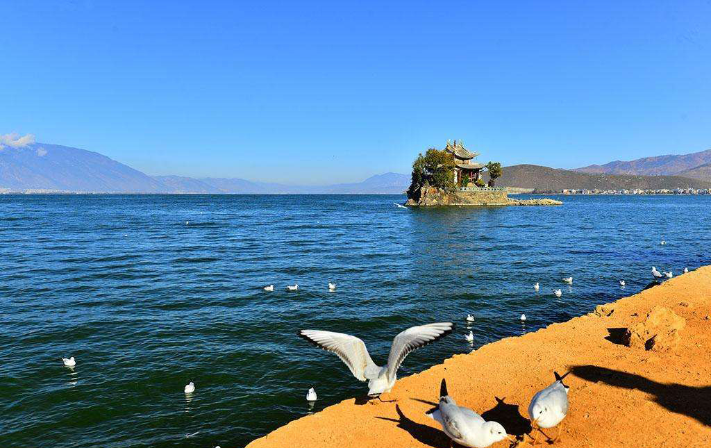 香格里拉自驾游攻略自助游,香格里拉到西藏攻略