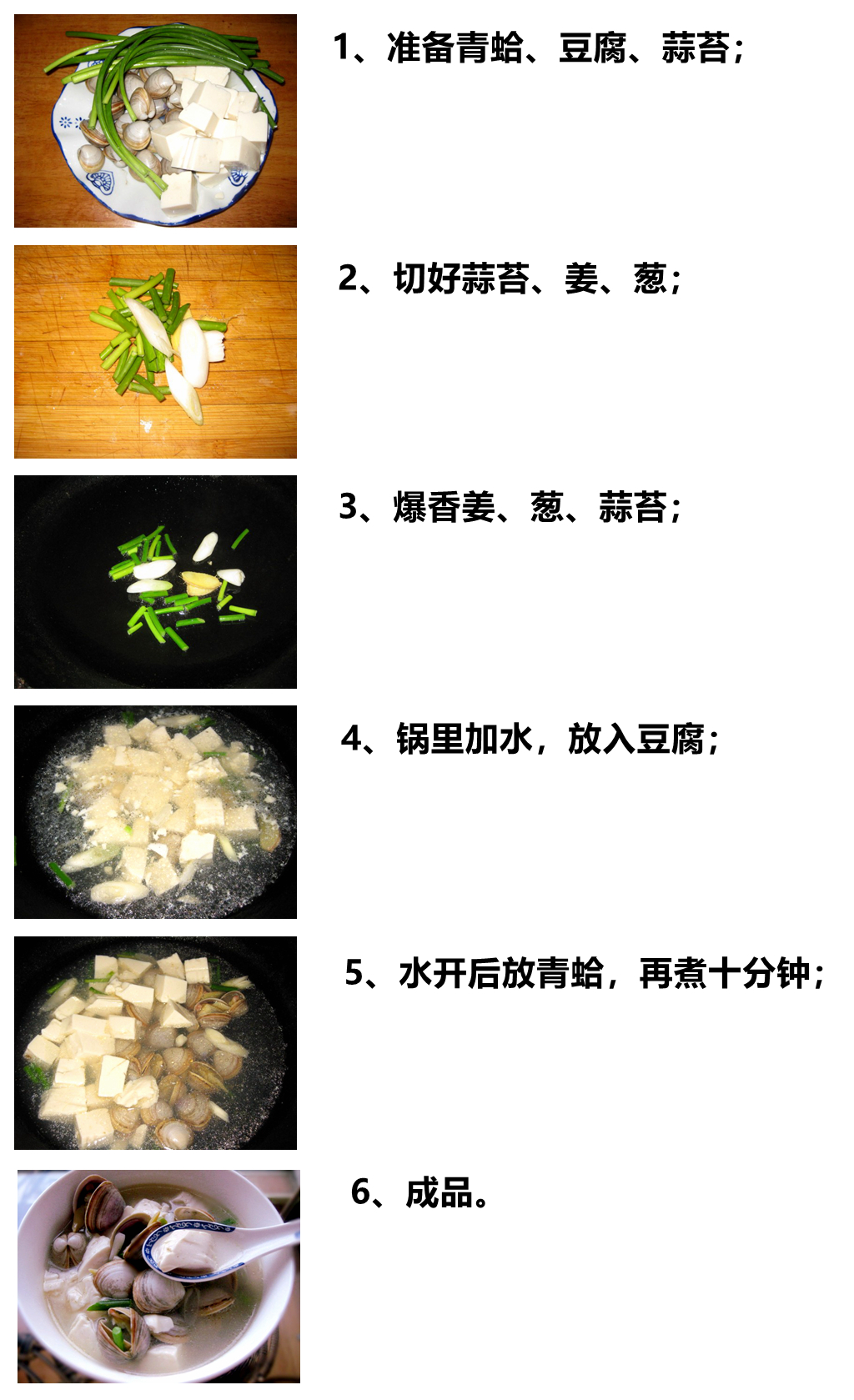 海边贝类种类,各种贝类的名称