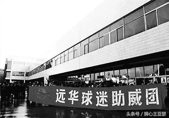 厦门蓝狮足球队03年名单及位置,厦门蓝狮视频