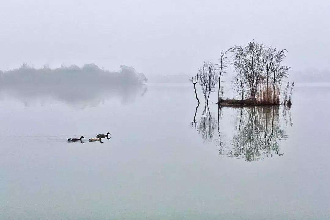 60后手机摄影发布的作品,60后手机摄影创作原声