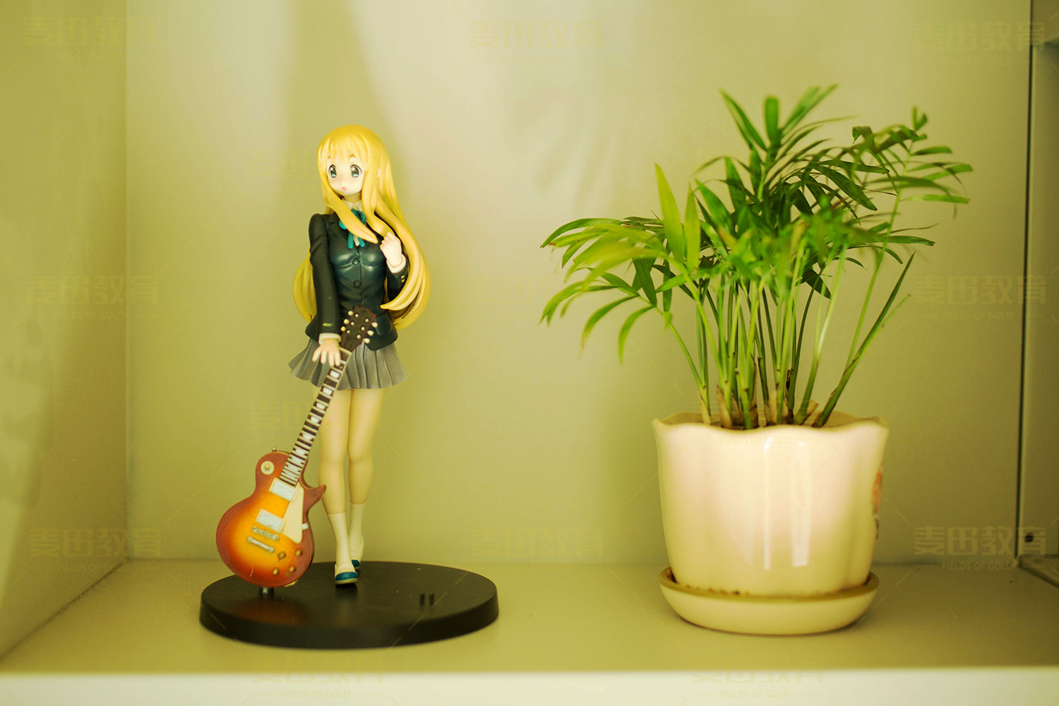 专科被不喜欢的专业录取怎么办,高考报到不喜欢的专业怎么办