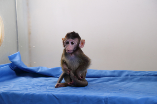 20岁小伙被诊断癌症,小伙25岁查出肝癌