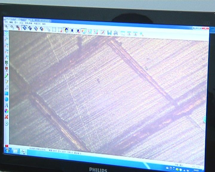 603876鼎胜新材前景如何,鼎胜新材行业龙头