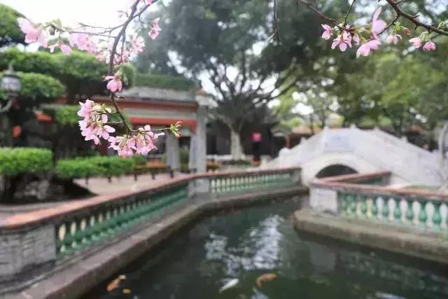 全域旅游｜官方验证！番禺这4个地方拍照最美！一起打卡走起~