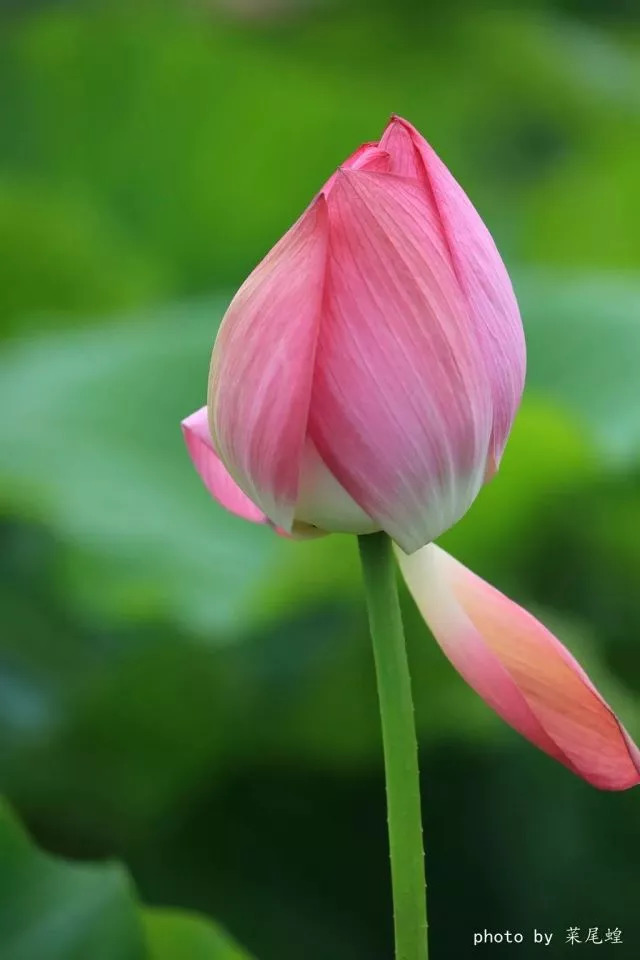 老司机容易忽略的问题,老司机易忽略的问题