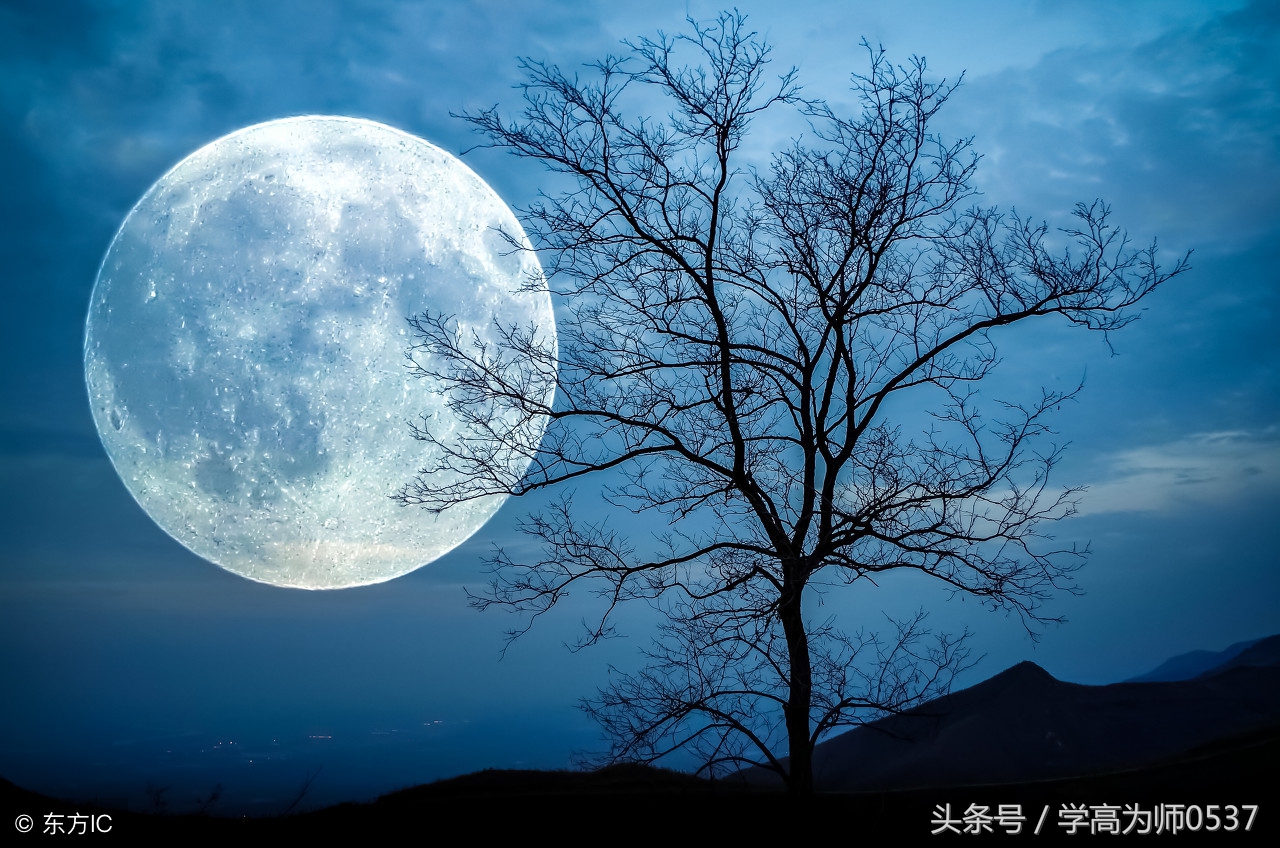 天生我才必有用李白最经典24首诗