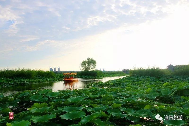 2018中国淮阳围棋棋王,2019淮阳围棋公开赛
