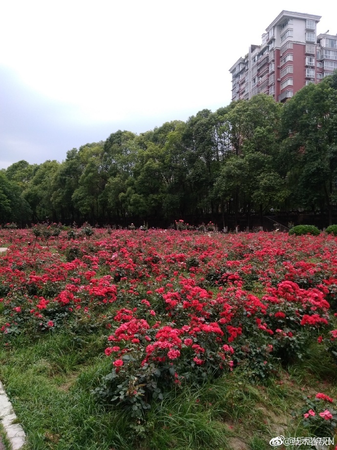 绵阳市母亲河是哪条河,绵阳涪江河的源头