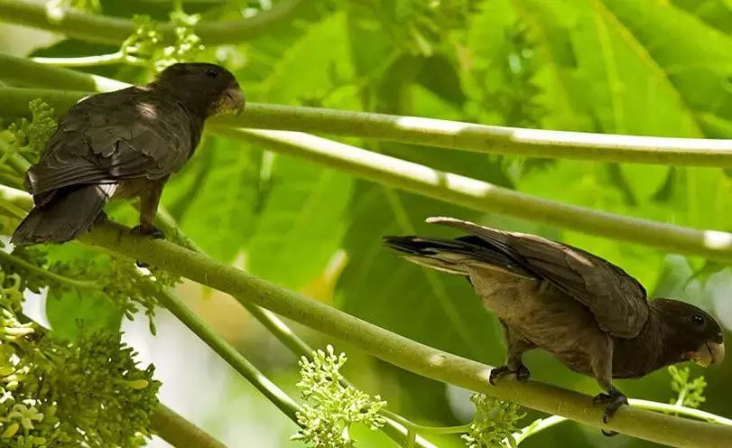 六个免签海岛颜值完爆马岱,值得去的海岛免签国家
