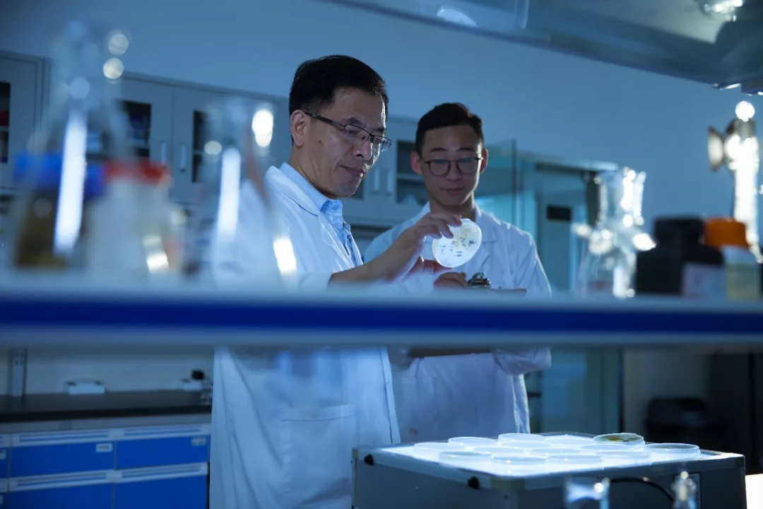 布朗族普洱茶的制作工艺,勐库源头手工制作普洱茶老工艺