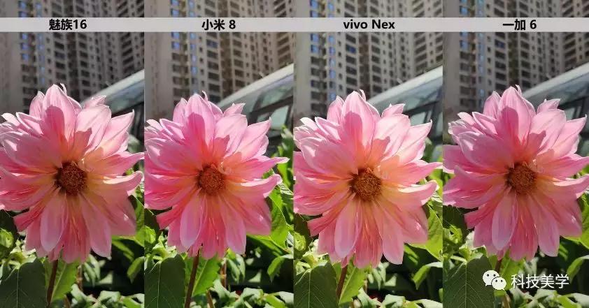 魅族16thplus和vivo双屏版,魅族16thplus与小米8拍照对比