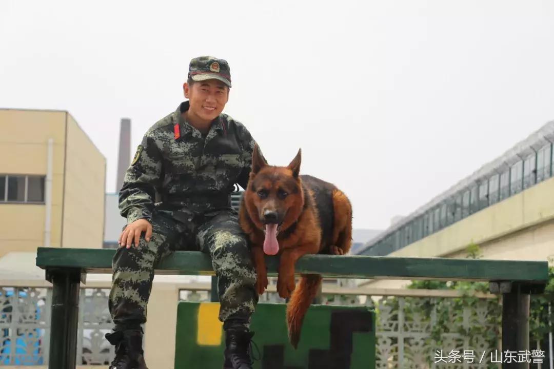 军营之星致敬英雄,退伍季老兵泪别迷彩青春