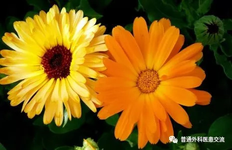 当医生要摸你肛门、*你捅**菊花时，请大方的撅起屁股配合一下