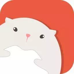 为什么马卡龙失败率那么高,为什么马卡龙的失败率这么高