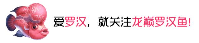 这款爆炸美罗，必须要给大家瞅瞅！