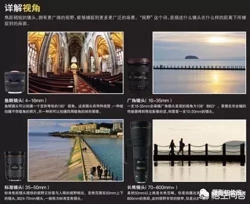 初学者单反相机入门教程,如何学习单反数码相机的简单操作