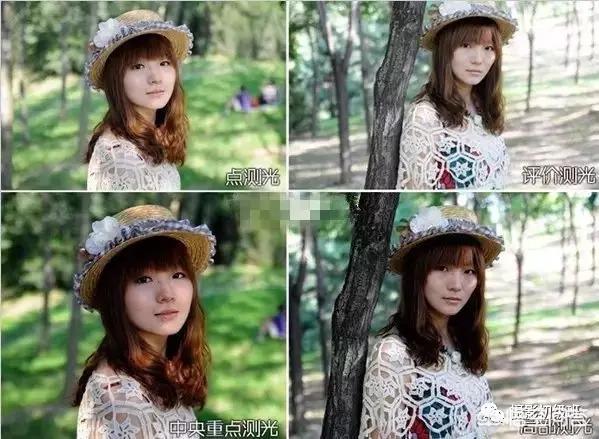 初学者单反相机入门教程,如何学习单反数码相机的简单操作