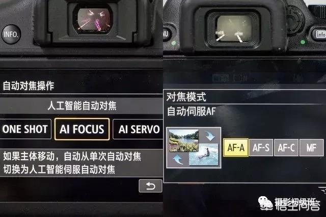 初学者单反相机入门教程,如何学习单反数码相机的简单操作