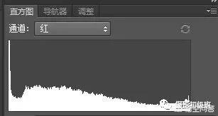 初学者单反相机入门教程,如何学习单反数码相机的简单操作
