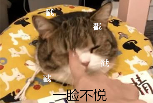 猫咪尿床被发现了应该怎么教育,猫咪尿床最有效的解决方法