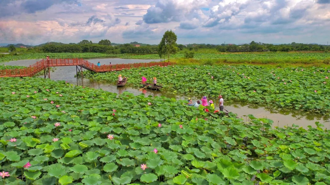 鹤山离广州最近的地方是哪里,鹤山周边游玩的地方推荐