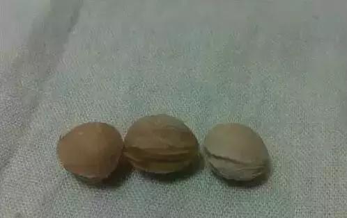 吃完樱桃剩下的籽能种吗怎么种,大樱桃核吃到肚子里有什么危害