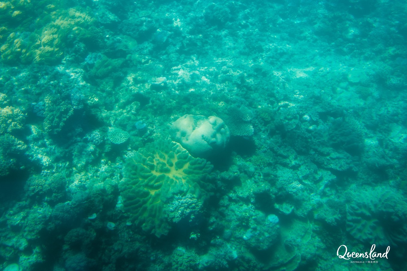 大堡礁值得去吗现在能去吗,大堡礁旅行攻略