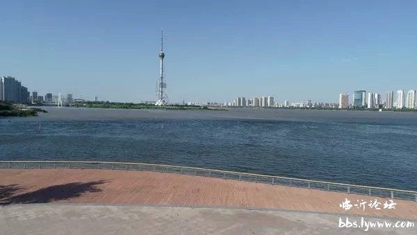 临沂沂河风景真实图,临沂春季沂河风景