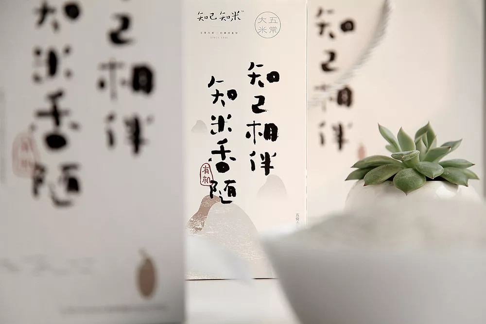 如何设计一款大米包装,大米的包装设计说明书图片
