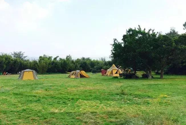 济州岛火山岛,韩国济州岛是一座典型的火山岛