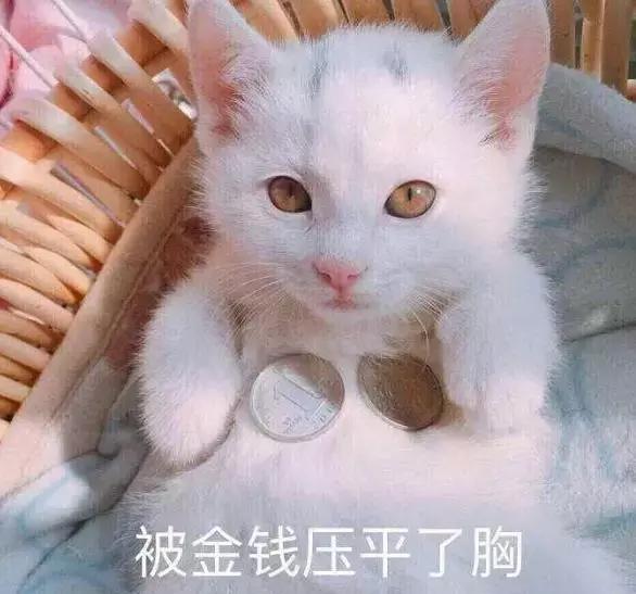 笑到头掉的名场面,笑到头掉的系列