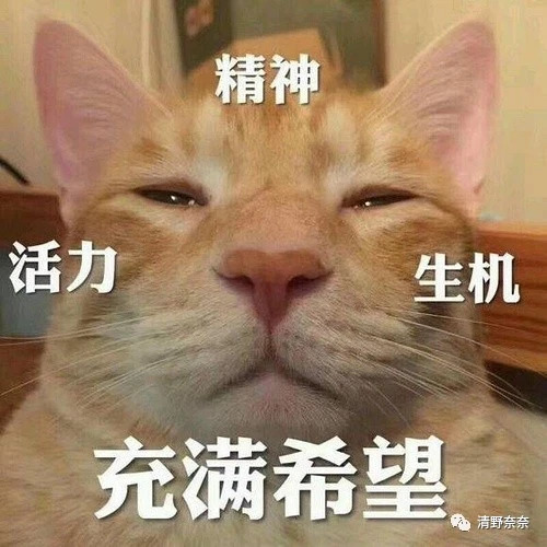 脸上的痘痘该怎么快速清除学生党,脸上痘痘反反复复怎么调理好肌肤