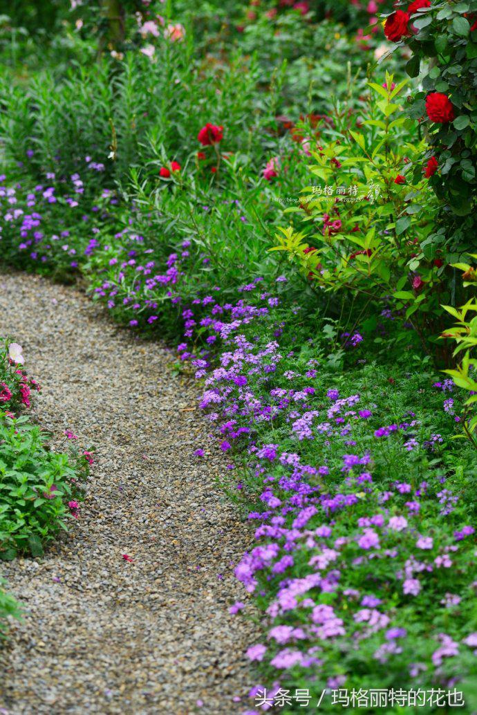 园丁修剪灌木,开满鲜花的小路教学设计一等奖